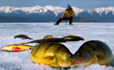 Как достичь хорошего улова на зимней рыбалке